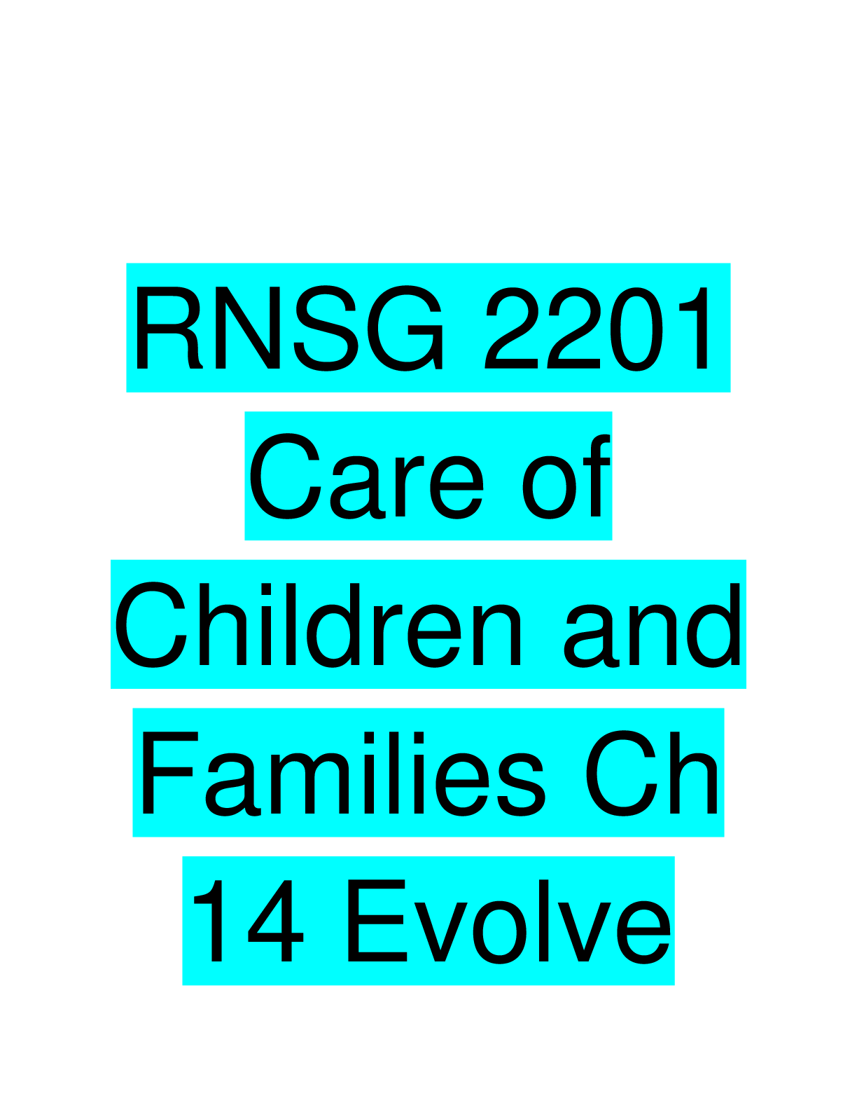 Preview image for RNSG 2201  Care of  Children and  Families Ch  14 Evolve